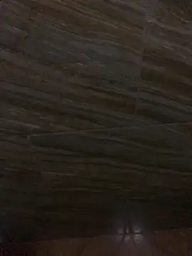 King cotize online show from February 2026 06:01:02 AM