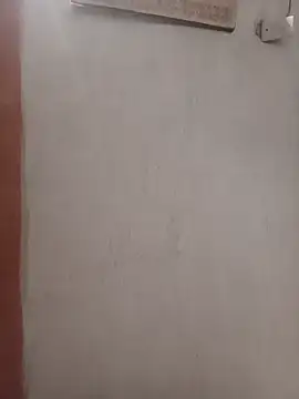 negopreto  online show from July 2026 02:48:02 AM