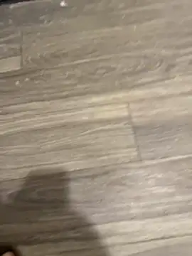 Snapshot of SavorredEscapist chatting on February 2026 06:45:02 AM SavorredEscapist online show from February 2026 06:45:02 AM