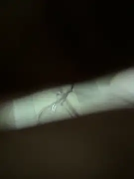 neekosam12 online show from March 2026 05:06:01 PM