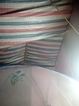 Snapshot of Susu-bae chatting on February 2026 01:48:01 AM Susu-bae online show from February 2026 01:48:01 AM