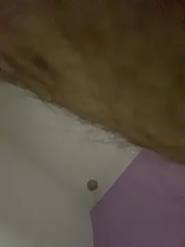 dimitri25987 online show from April 2026 07:33:02 AM