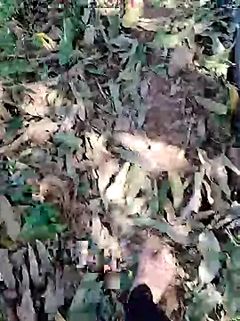 blackbeauty321 online show from March 2026 09:04:01 AM