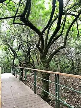 The Conquer online show from April 2026 06:34:01 PM