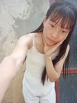 pic8800 online show from May 2026 11:56:01 PM