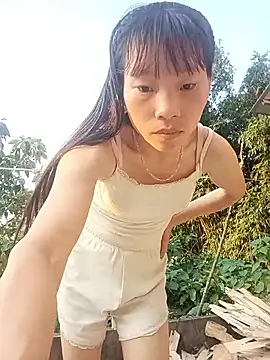 pic8800 online show from May 2026 10:36:01 AM