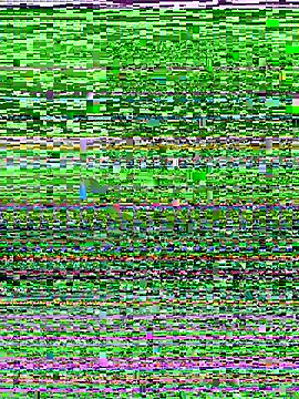 D SnowL online show from July 2026 07:49:02 PM