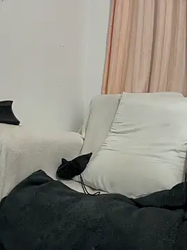 paula p07 online show from April 2026 10:09:02 AM