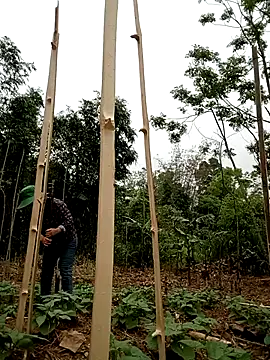 lyly sexx online show from April 2026 02:01:01 AM