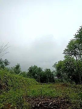 lyly sexx online show from April 2026 02:20:02 AM