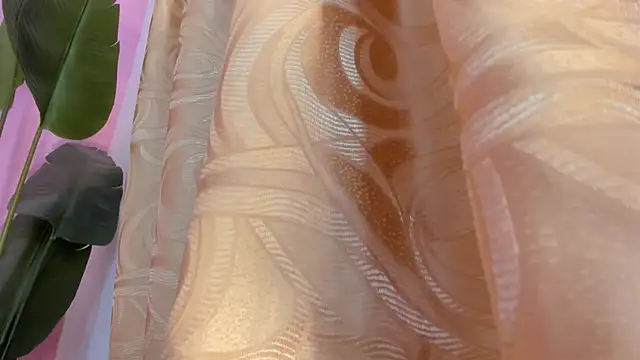 evelyn  rose1 online show from March 2026 02:04:02 AM