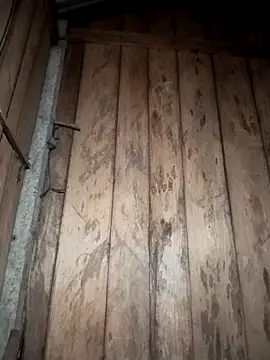 Mizu-hotshow online show from March 2026 10:32:01 PM