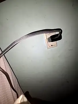 Snapshot of wolf297 chatting on February 2026 11:44:01 AM wolf297 online show from February 2026 11:44:01 AM