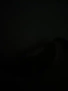 noorqwertz online show from May 2026 04:56:01 PM