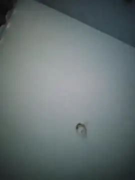 misteriosocam40 online show from April 2026 05:40:02 PM