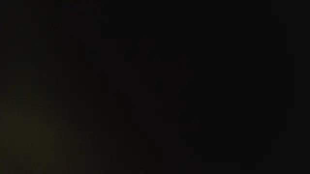 AllOiledUp online show from May 2026 04:17:01 AM