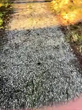 Sweetlauu online show from March 2026 07:54:02 AM