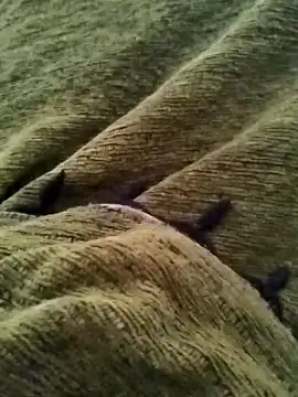 detasuta online show from March 2026 03:47:01 AM