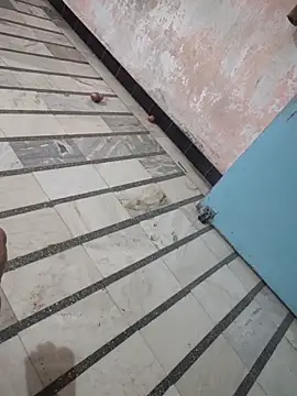 Snapshot of Tamillaxmi12 chatting on March 2026 01:08:01 PM Tamillaxmi12 online show from March 2026 01:08:01 PM