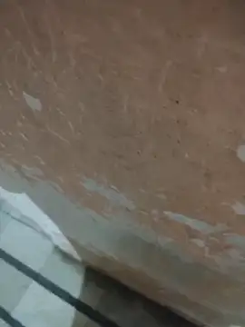 Snapshot of Tamillaxmi12 chatting on April 2026 03:40:02 PM Tamillaxmi12 online show from April 2026 03:40:02 PM