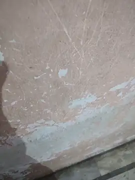 Snapshot of Tamillaxmi12 chatting on April 2026 12:44:02 AM Tamillaxmi12 online show from April 2026 12:44:02 AM