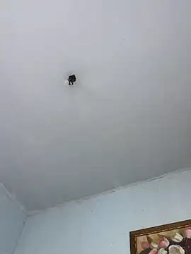 BigBig024 online show from March 2026 05:17:01 PM