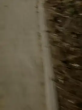 Snapshot of MarekPublicShow chatting on March 2026 09:42:01 PM MarekPublicShow online show from March 2026 09:42:01 PM