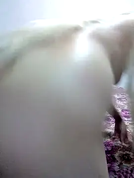 ZoeLakshmi online show from March 2026 02:04:02 AM