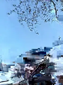 Yellow-pink online show from April 2026 10:20:02 AM