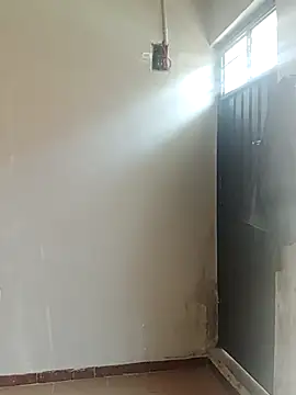 Snapshot of hacheshx chatting on March 2026 03:38:02 PM hacheshx online show from March 2026 03:38:02 PM