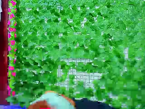 asshoney Abby online show from April 2026 07:31:01 AM