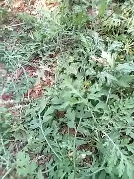 new sexy couple online show from March 2026 08:21:01 AM