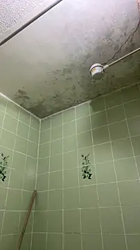 sylphiee  online show from April 2026 11:54:02 AM