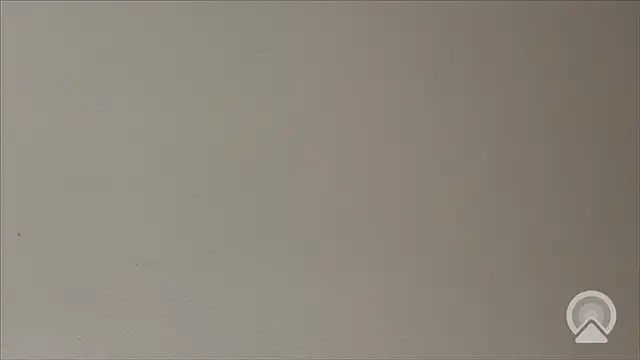 Shynesse21 online show from March 2026 11:38:01 AM