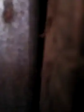 Any 120 online show from April 2026 08:45:01 AM