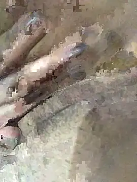 ayrla    online show from March 2026 04:17:01 AM