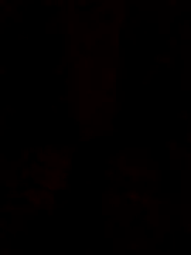 Snapshot of sexbutyp chatting on March 2026 04:01:01 PM sexbutyp online show from March 2026 04:01:01 PM