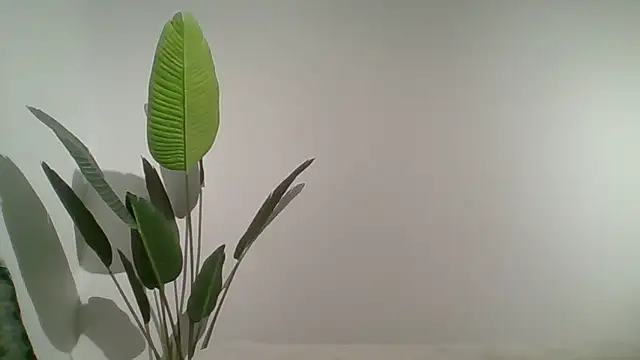 Snapshot of Couple_qc chatting on May 2026 10:05:01 PM Couple qc online show from May 2026 10:05:01 PM