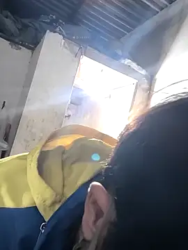 cactoto online show from March 2026 04:19:01 PM