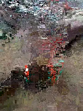 Alimohamed08 online show from March 2026 01:55:01 AM