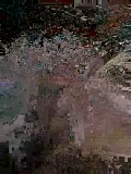 Alimohamed08 online show from April 2026 01:47:01 AM