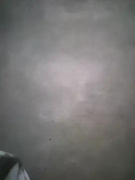 Want-fun online show from June 2026 10:14:01 PM