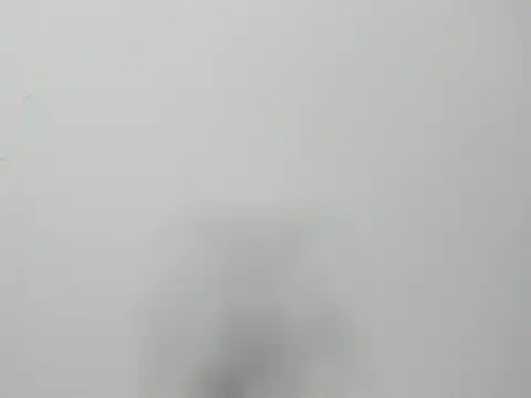 Alejandra and James  online show from March 2026 11:21:02 AM