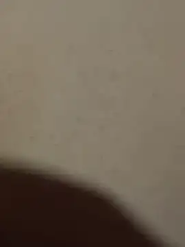 Mr beast 09 online show from June 2026 04:42:02 AM