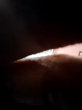 doggy69-dog online show from April 2026 09:28:02 AM