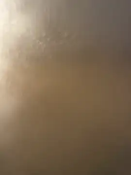 bfs128 online show from April 2026 06:16:02 PM