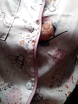 Snapshot of giahan1 chatting on April 2026 12:49:02 AM giahan1 online show from April 2026 12:49:02 AM