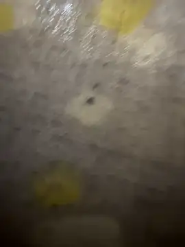 Snapshot of xezie chatting on April 2026 09:58:02 AM xezie online show from April 2026 09:58:02 AM