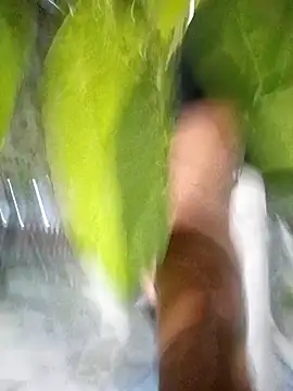 hot-daring online show from April 2026 05:35:01 AM