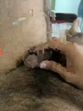 warm milk69 online show from April 2026 04:01:01 AM